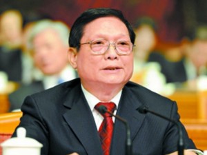 北京前市长视察西藏 举家同往遭质疑(图)