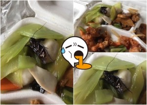 大学食堂饭盒现蟑螂 网民：补充蛋白质(图)