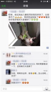 残忍！北京一学校工作人员虐猫 有猫被捆绑倒挂