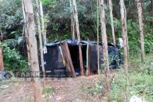 七旬老汉木屋收留三女卖淫 条件系免费发生性关系