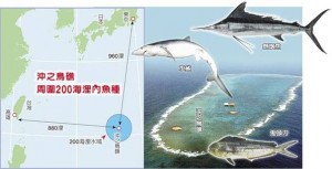 冲之鸟是岛是礁？蔡英文当局竟声称没有定论(图)