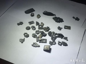 "张献忠沉银地"被盗案告破 张献忠金印首曝光(图)