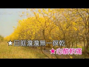 想厝的人MIDI伴奏KTV