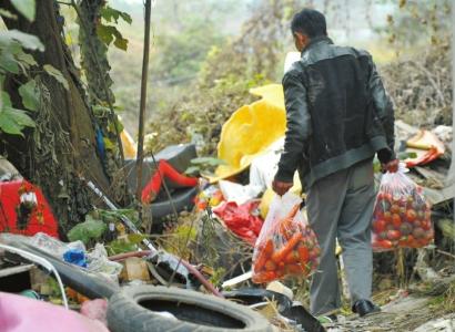 神秘人"送来"千斤蔬菜 不到2小时被一抢而空(图)