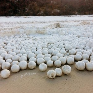 俄海岸现“神秘雪球” 如白色地毯绵延17公里(图)