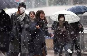 时隔54年的一场雪，让整个东京高潮了！(组图)