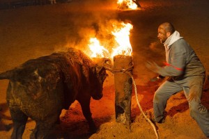 慎入:公牛被活活烧死 西班牙残忍祭祀惹争议(视)