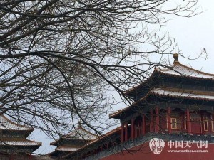 北京暴雪爽约 中国气象局道歉：雪是好雪风不正经