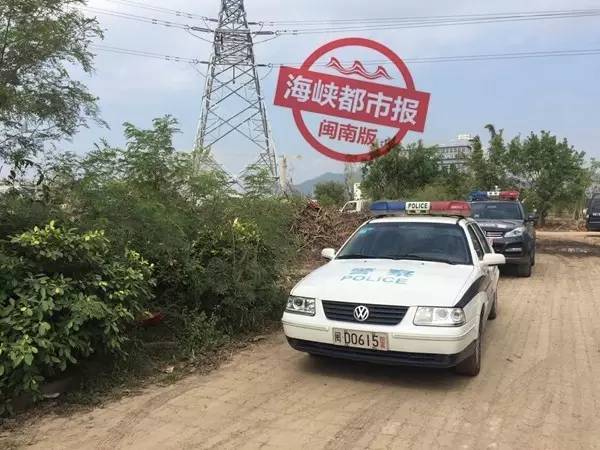 厦门：动物园老虎跑离猛兽区 大批特警出动 (图)