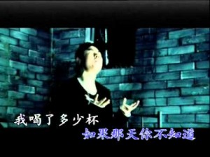 刀郎 – 衝動的懲罰 KTV