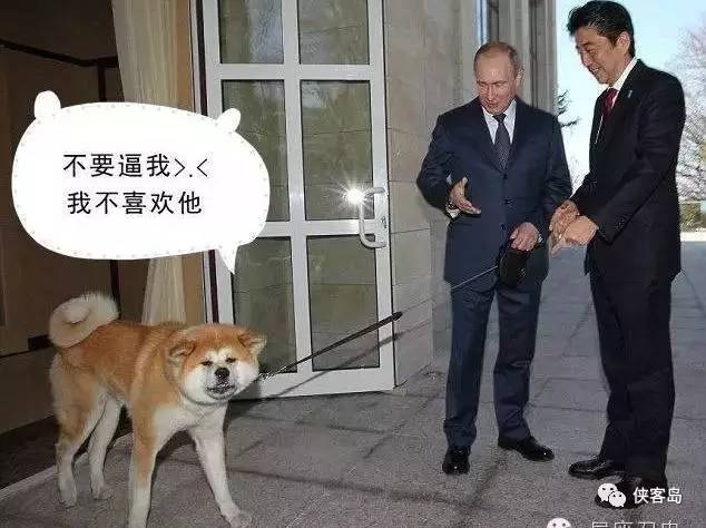 安倍也想搞“联俄制华”？普京笑了 (组图)