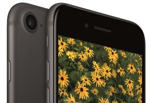 苹果疯狂砍单iPhone 7 价格崩盘销量惨淡(图)