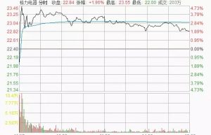 资本来敲门 董明珠：他们破坏中国制造会成为罪人