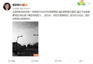 葛荟婕再撕汪峰:绝不放过你 愿你孤老终生(图)