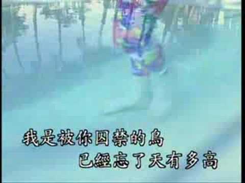 囚鳥~彭羚 (國語卡拉OK)