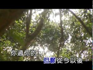 曾心梅-紀念品ktv