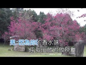 香水MIDI伴奏KTV