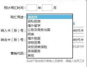 外汇局澄清:个人购汇不允许境外购房并非新政(图)