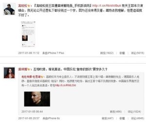 力挺王菲遭炮轰 高晓松辟谣:从没说过1个字(图)