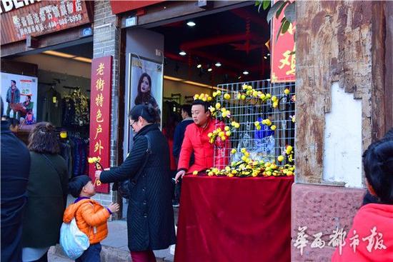 鸡年流行头戴"小鸡" 发夹老板: 一天轻松卖几千元