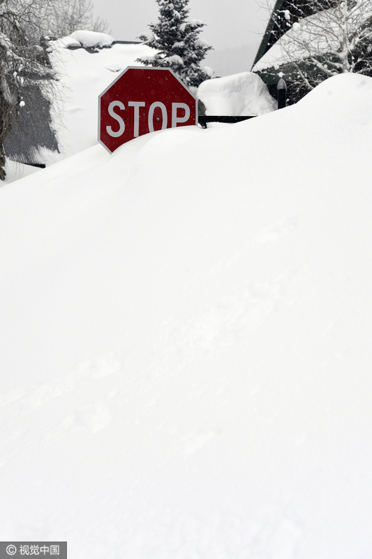 美国小镇8天降雪2米 像被施了魔法一样(组图)