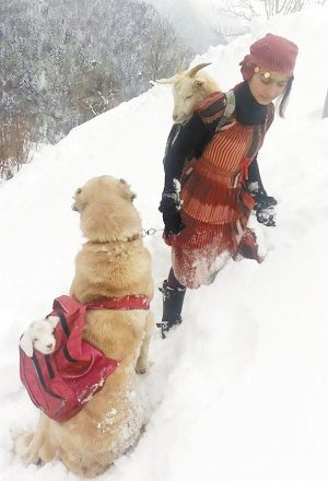 暖心！11岁女孩和狗狗风雪中救一对山羊母子(图)