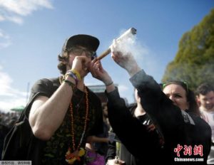 多伦多上演“大麻聚会” 民众深感担忧(组图)