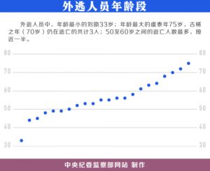 中国曝22名外逃人员线索 含河北原书记之子程慕阳