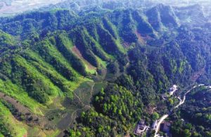 四川蒙顶山惊现“斯巴达勇士驾神兽麒麟像”(图)