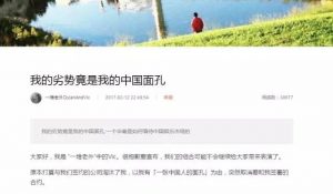 美籍华裔：不会说中文的我 在中美都不受待见(图)