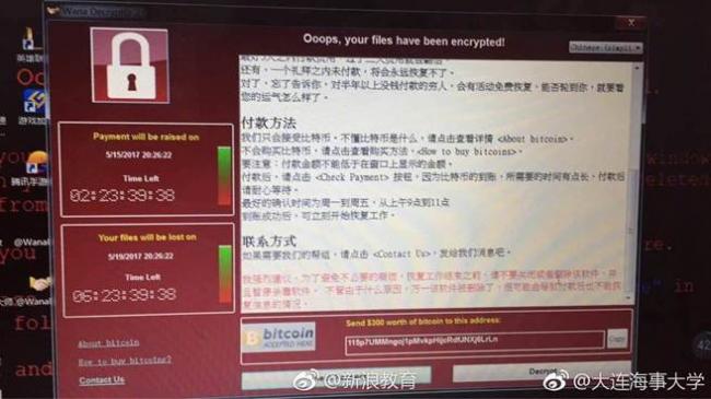 病毒攻击中国校园 大学生毕业论文被锁(图)