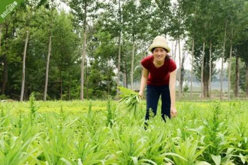 她是清华博后，也是中国首个公费来美务农的人