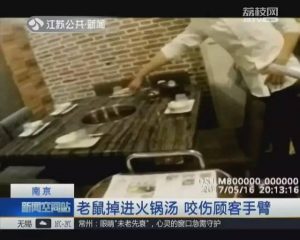 超恶心!天降老鼠掉进火锅 又跳出来咬伤女食客