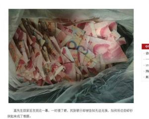 5万元就这样被撕成碎片 家长欲哭无泪(图)