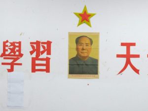 武大新闻系主任辞职再曝高校行政化弊端(图)