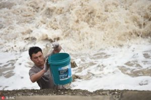 真的拼了！游客冒大风浪在天津港海边挖生蚝(图)