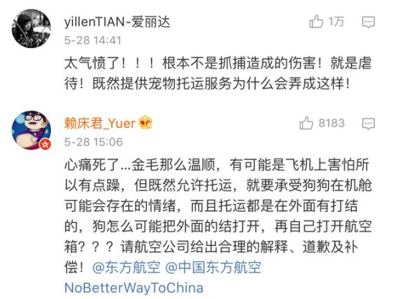 金毛犬在东航托运过程中惨死 钢丝笼都咬破了(图)