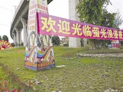 成都郫都景区欲放飞10万只萤火虫 被紧急喊停(图)