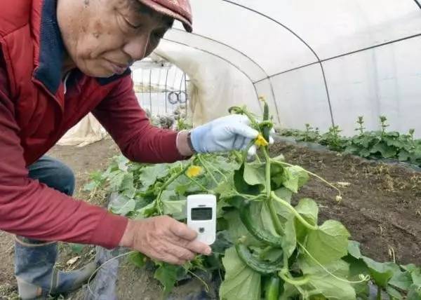 媒体:日本那么发达，为何三天两头发生核泄漏(图)