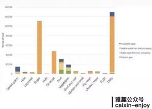 外嫁女感悟：我们从墨尔本垃圾堆捡出一顿米其林