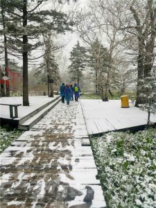 黑龙江凤凰山六月飞雪 游客赞叹一山看两季(组图)