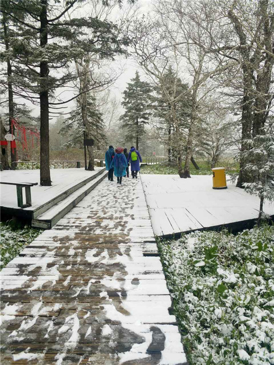 黑龙江凤凰山六月飞雪 游客赞叹一山看两季(组图)